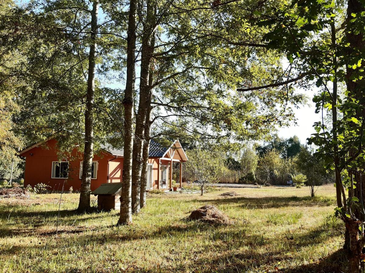 Cabanas Las Araucarias San José de la Mariquina Exteriér fotografie
